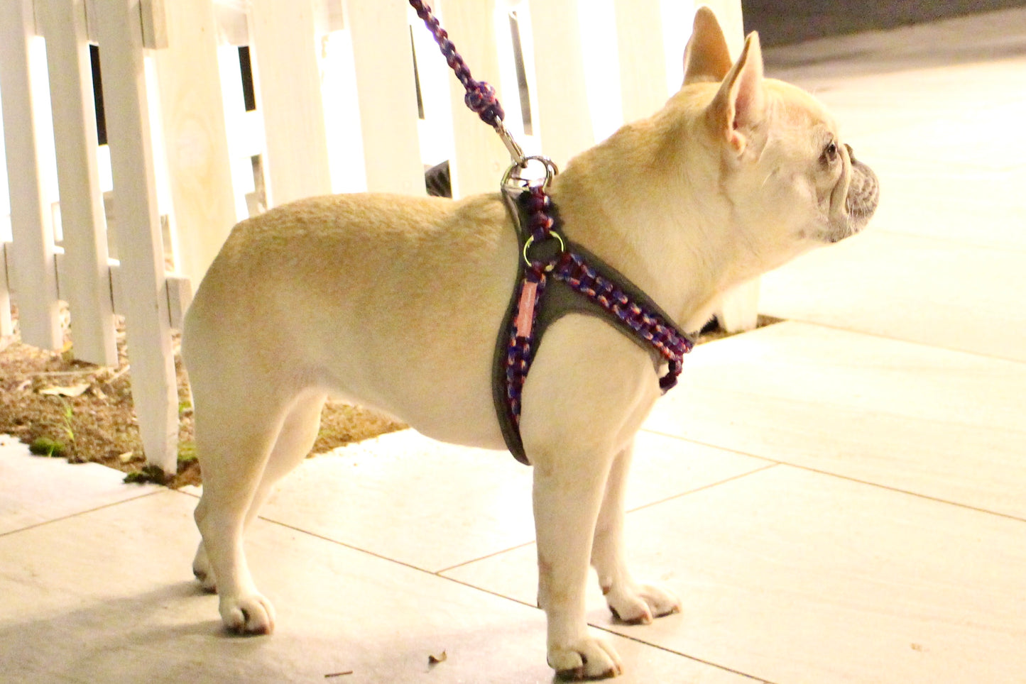 Flat Braided Harness (with Pad) - 2pcs/3pcs