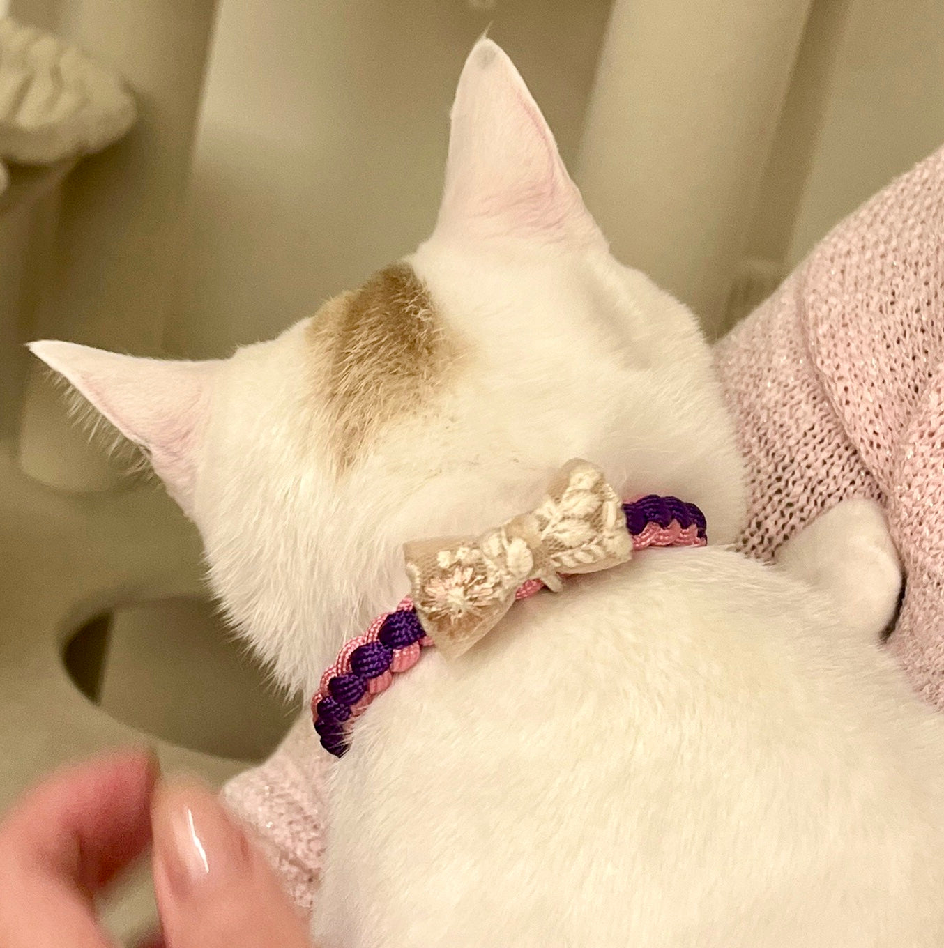 Cor de Vent Cattotres (four-strand ribbon collar)