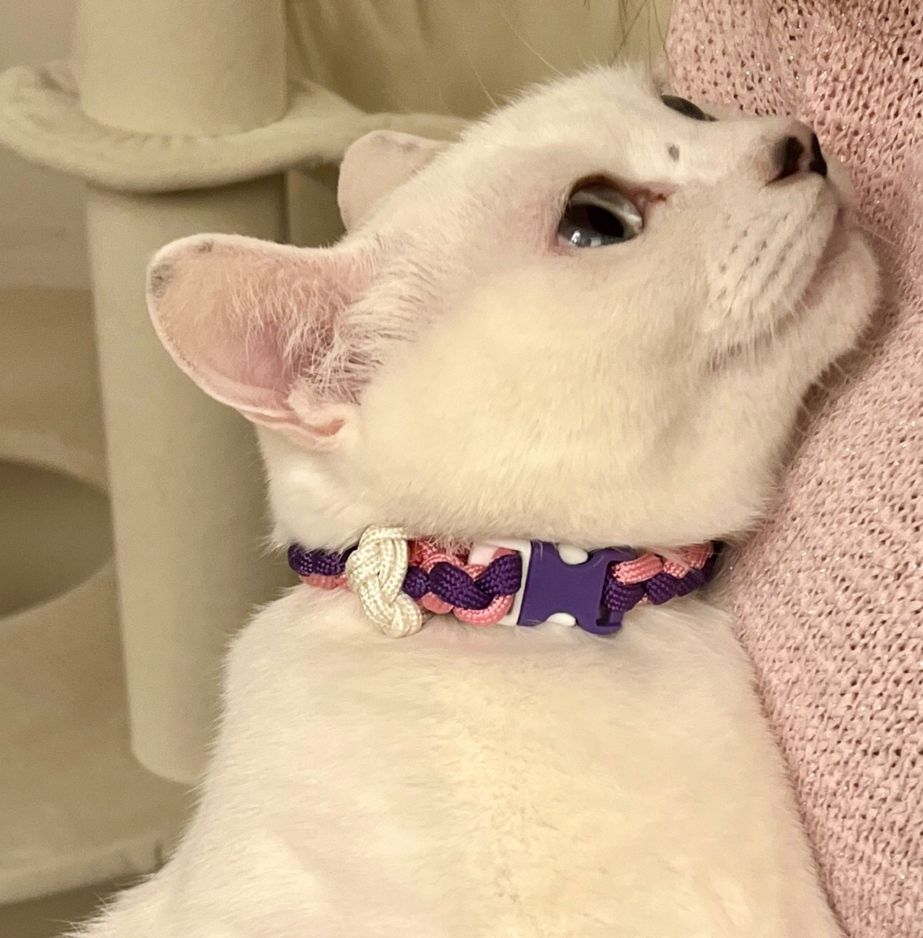 Cor de Vent Cattotres (four-strand ribbon collar)