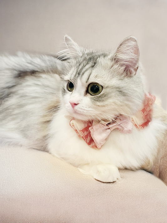 【NEW】2wayシュシュ付きリボンチョーカー